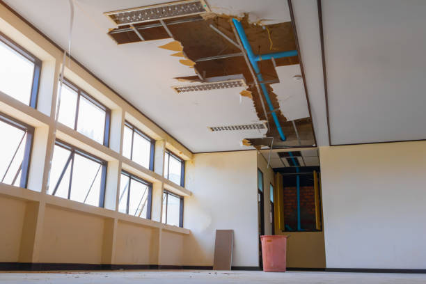 Best Water damage contractors near me  in Clearlake Oaks, CA