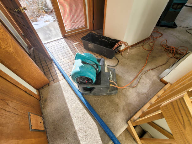 Best Mold removal after water damage  in Clearlake Oaks, CA