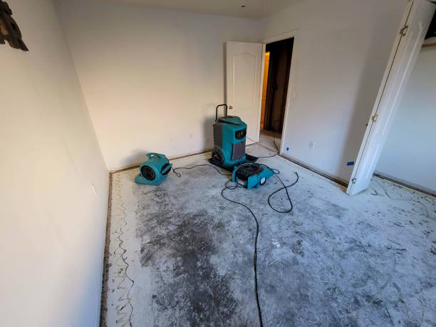 Best Sewage cleanup and water damage restoration  in Clearlake Oaks, CA