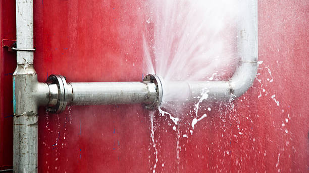 Best Flood damage cleanup  in Clearlake Oaks, CA