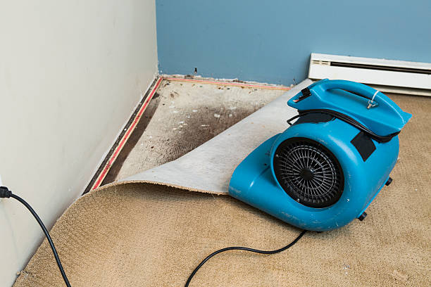 Best Flooded house restoration  in Clearlake Oaks, CA